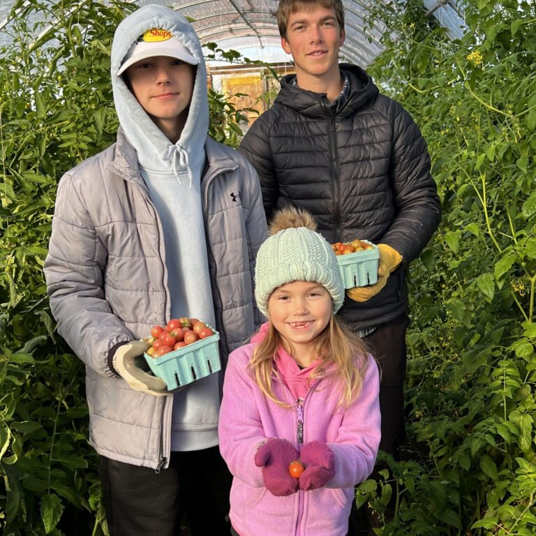 Sunday School/Youth Groups Sunday School/Youth Groups